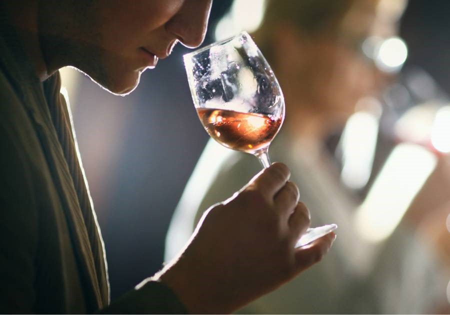 analisi vino
